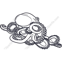 Intricate Octopus