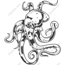 Oceanic Octopus