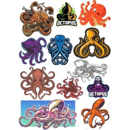 Octopus Set - 12 Unique s