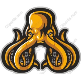 Vibrant Octopus