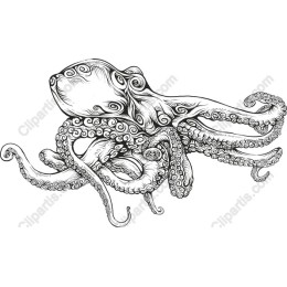 Hand-Drawn Octopus