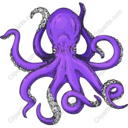 Vibrant Purple Octopus