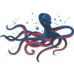Vibrant Octopus