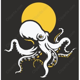Mesmerizing Octopus