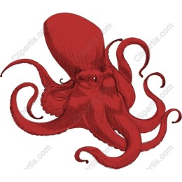 Vibrant Red Octopus