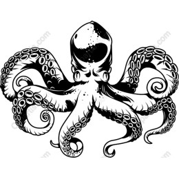 Octopus - Black and White