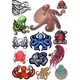 Octopus Bundle