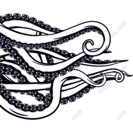 Elegant Octopus work