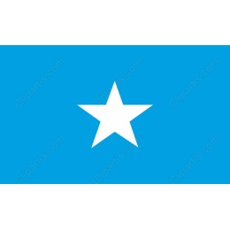 Vibrant Blue Star