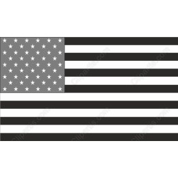 Monochrome American Flag