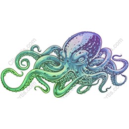 Vibrant Octopus