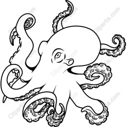 Whimsical Octopus