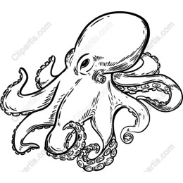 Intricate Octopus