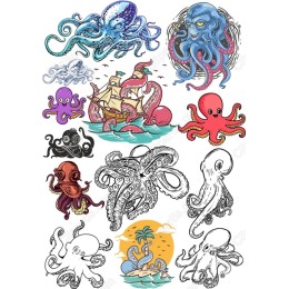 Octopus Set: Creative Marine Art
