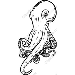 Intricate Octopus