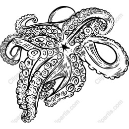 Elegantly Intricate Octopus