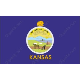 Kansas State Flag