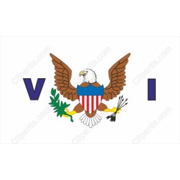 Patriotic Bald Eagle