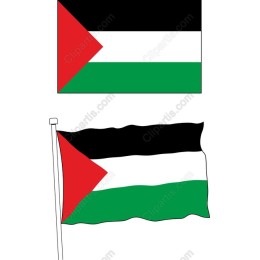 Palestinian Flag