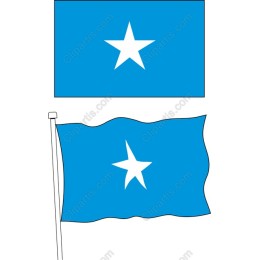 Blue Flag with White Star