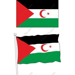Vibrant Flag