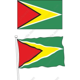 Guyanese Flag