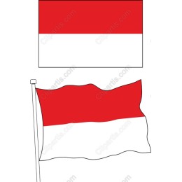 Indonesian Flag