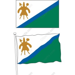 Vibrant Flag
