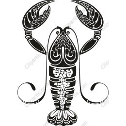 Elegant Lobster in Black and White