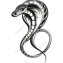 Black Cobra