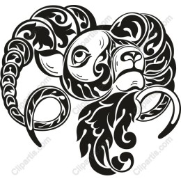 Black and White Ram