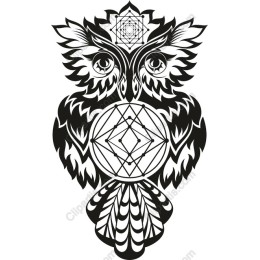 Majestic Owl Geometric