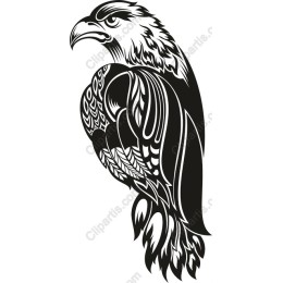 Majestic Black Hawk