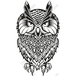 Majestic Owl