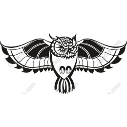 Majestic Owl