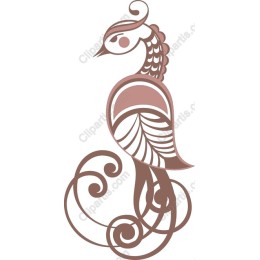 Elegant Bird