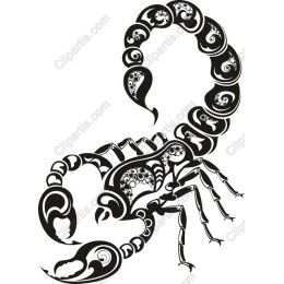 Stunning Scorpion