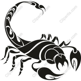 Intricate Scorpion