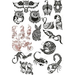 Wildlife Wonders: Collection