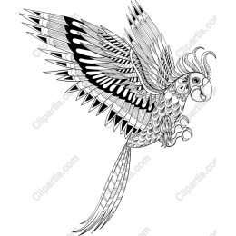Soaring Parrot - Black and White