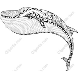 Intricate Whale