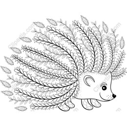 Hedgehog Whimsy