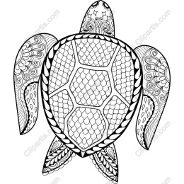 Intricate Turtle Mandala