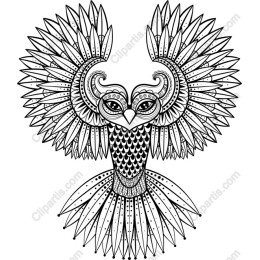 Black and White Ornate Owl