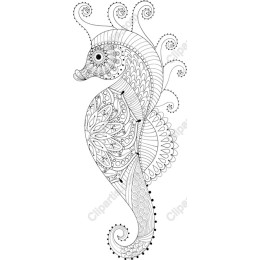 Elegant Seahorse