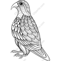 Intricate Falcon