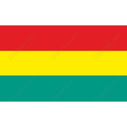 Vibrant Bolivian Flag