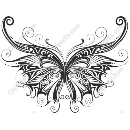 Elegant Butterfly