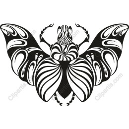 Black and White Butterfly