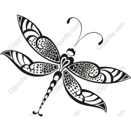 Charming Dragonfly